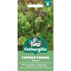 LETTUCE LEAVES MIXTURE