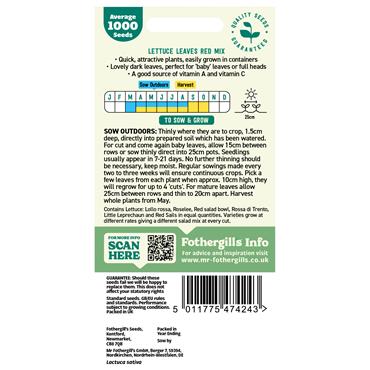 LETTUCE LEAVES RED MIX