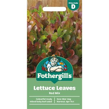 LETTUCE LEAVES RED MIX