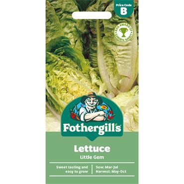 LETTUCE LITTLE GEM