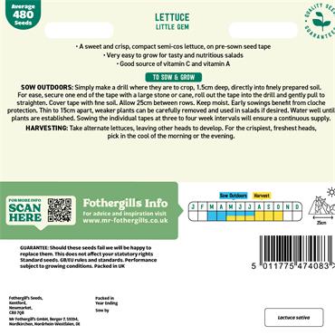 TAPE LETTUCE LITTLE GEM