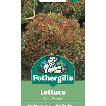 LETTUCE LOLLO ROSSA