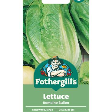 LETTUCE ROMAINE BALLON