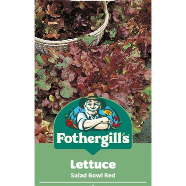 LETTUCE SALAD BOWL RED