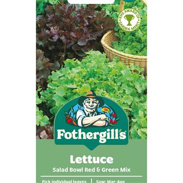 LETTUCE SALAD BOWL RED & GREEN MIX