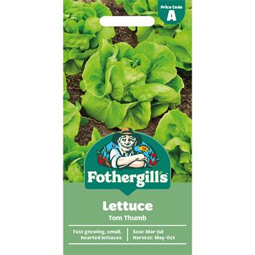 LETTUCE TOM THUMB