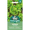 LETTUCE TOM THUMB