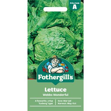 LETTUCE WEBBS WONDERFUL