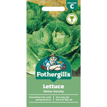 LETTUCE WINTER DENSITY