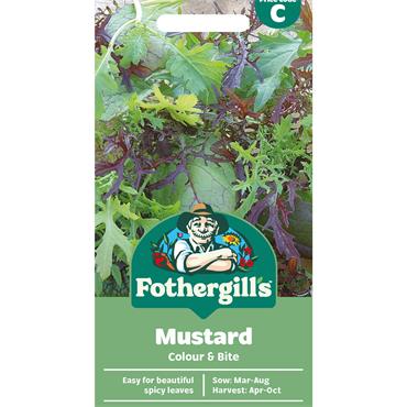 MUSTARD COLOUR & BITE