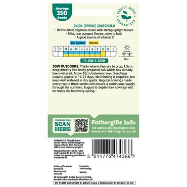 ONION (SPRING) GUARDSMAN