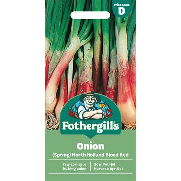 ONION (SPRING) NORTH HOLLAND BLOOD RED