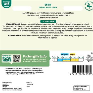 TAPE ONION (SPRING) WHITE LISBON