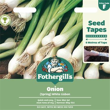 TAPE ONION (SPRING) WHITE LISBON