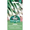 ONION (SPRING) WHITE LISBON WINTER HARDY