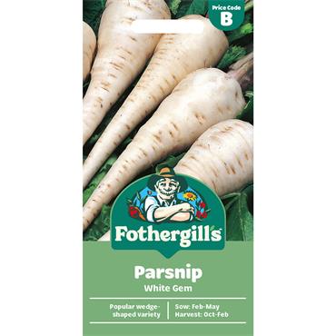 PARSNIP WHITE GEM