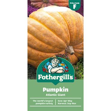PUMPKIN ATLANTIC GIANT