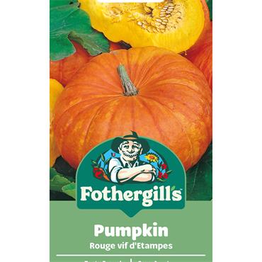 PUMPKIN ROUGE VIF D'ETAMPES