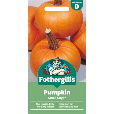 PUMPKIN SMALL SUGAR