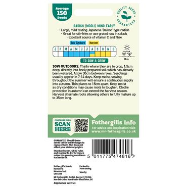 RADISH (MOOLI) MINO EARLY