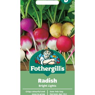 RADISH BRIGHT LIGHTS