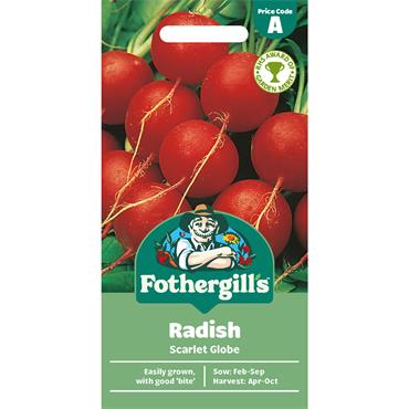 RADISH SCARLET GLOBE