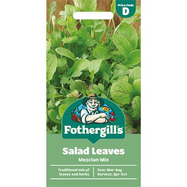 SALAD LEAVES MESCLUN MIX