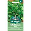 SALAD LEAVES MILD MIX