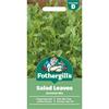 SALAD LEAVES ORIENTAL MIX