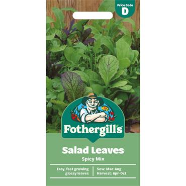 SALAD LEAVES SPICY MIX