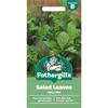 SALAD LEAVES SPICY MIX