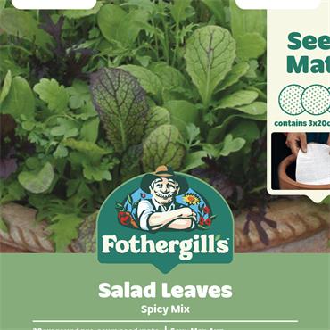 MAT SALAD LEAVES SPICY MIX