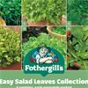 EASY SALAD LEAVES