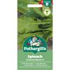 SPINACH (ORIENTAL) MIKADO F1