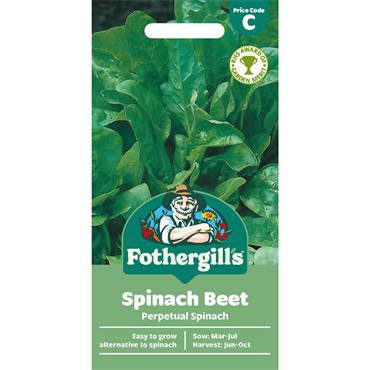 SPINACH BEET PERPETUAL SPINACH