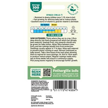 SPINACH EMILIA F1