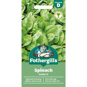 SPINACH EMILIA F1