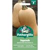 SQUASH (BUTTERNUT) SWEETMAX F1