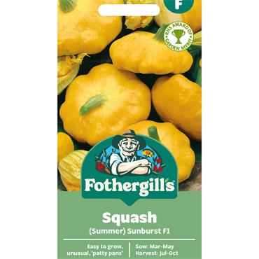SQUASH (SUMMER) SUNBURST F1