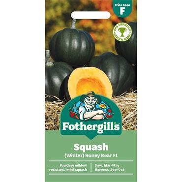 SQUASH (WINTER) HONEY BEAR F1