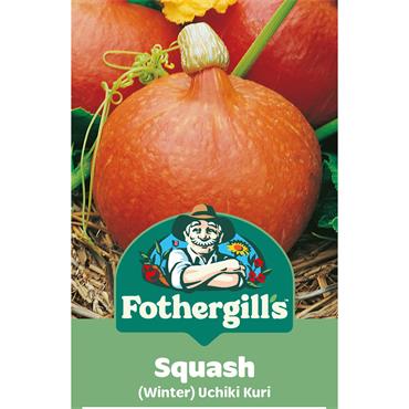 SQUASH (WINTER) UCHIKI KURI