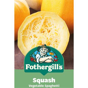 SQUASH VEGETABLE SPAGHETTI