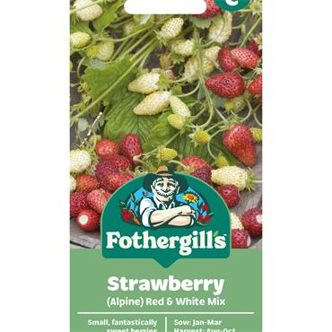 STRAWBERRY (ALPINE) RED & WHITE MIX