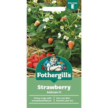 STRAWBERRY DELICIAN F1