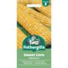 SWEET CORN AMBROSIA F1