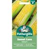 SWEET CORN GALAXY F1