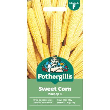 SWEET CORN MINIPOP F1