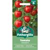 TOMATO CONSUELO F1