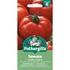 TOMATO COUNTRY TASTE F1