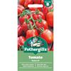 TOMATO ROMA VF